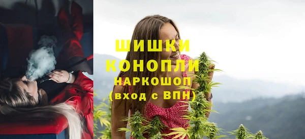 ГАЛЛЮЦИНОГЕННЫЕ ГРИБЫ Лихославль