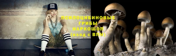 гашик Липки