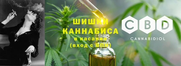 гашик Липки
