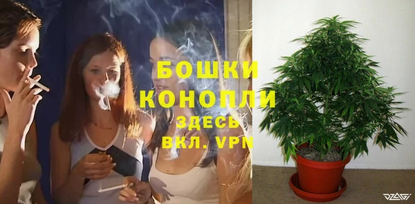 гашик Липки
