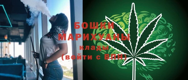 гашик Липки